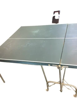 Ping pong table
