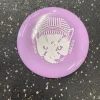 Used Disc Golf Accessory