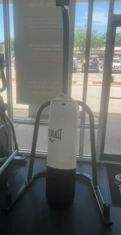 Used EVERLAST/ BAG/ STAND Boxing Heavy Bag None 100 lb