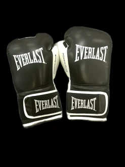 Used Everlast Boxing Gloves Black LG