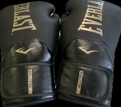 Used Everlast Boxing Gloves Black Senior