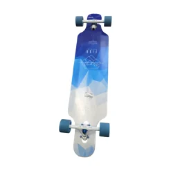 Used FISH SKATEBOARD Longboard Black Regular