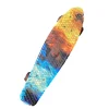 Used FISH SKATEBOARD PENNY BOARD