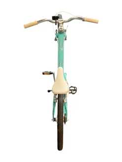 Used GUARDIAN Comfort Bike Girls None 20