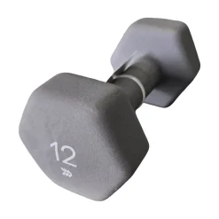 Used Hex Dumbbell (Each) 12 lb
