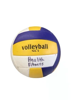 Used Indoor VB Navy Blue And Yellow