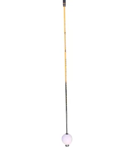 Used Momentus Swing Aid