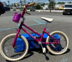 Used PACIFIC Mountain Bike Girls Purple 16"