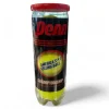 Used Penn CHAMP REG DUTY FELT Racquet Sport Balls