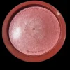 Used Prodigy Disc PRODIGY DISCS BATTLE IN THE PINES Other Golf Disc