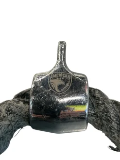 Used Tricep Rope