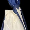 Used Umbrella Camping Accessory