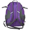 Used XC Ski Bag